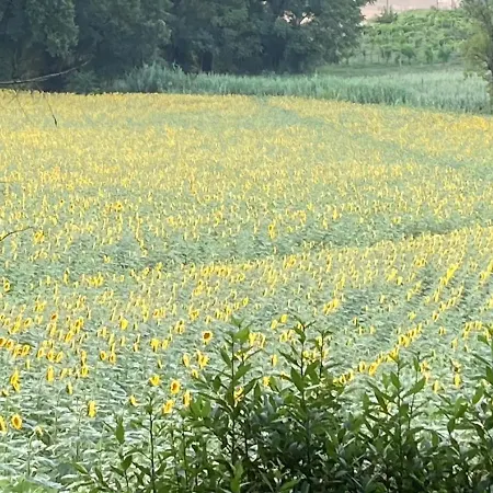Nina Glauco Casa Betania